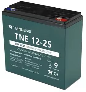 Batería 12V/25Ah