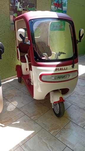 Triciclo Eléctrico PIALLI GOLF Y PRO